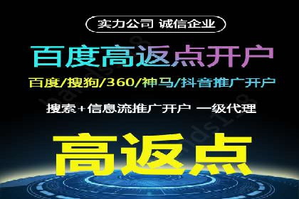 某SEM外包公司广告投放策略及效果评估